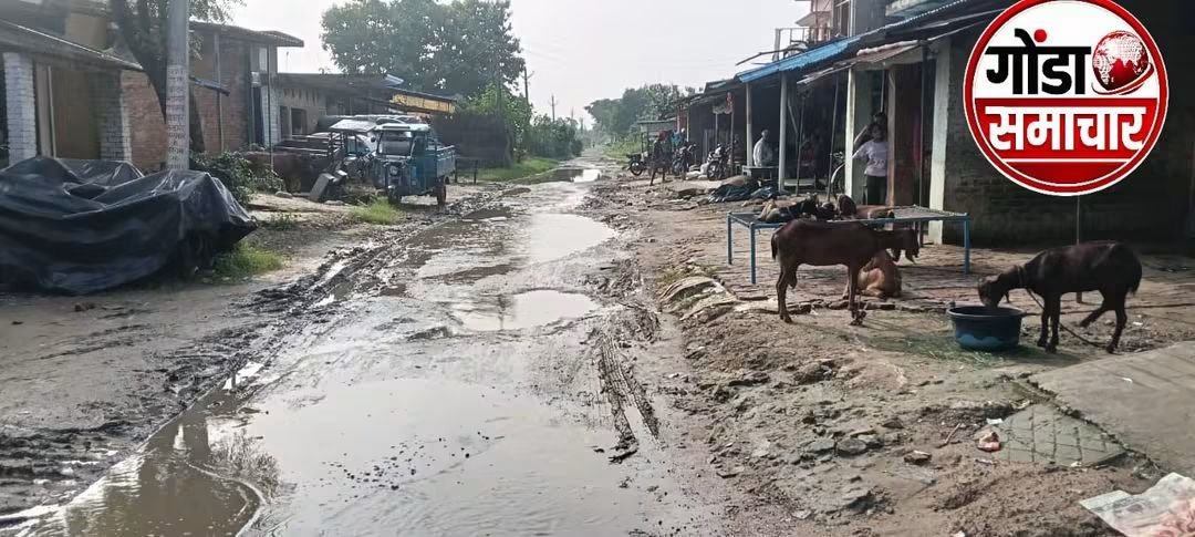 GondaSamacharUP's tweet photo. कीचड़ व जलभराव से राहगीर परेशान

बभनजोत के हथियागढ़, केशवनगर, घारीघाट व मोकलपुर गांवों के मुख्य मार्ग पर जलनिकासी की व्यवस्था न होने से कीचड़ और पानी भरा है। सड़क क्षतिग्रस्त होने से पैदल आवागमन भी मुश्किल है।
ग्रामीणों ने सड़क मरम्मत व नाली निर्माण की मांग की।
@dmgonda2 https://t.co/cTDe2ZiHK3