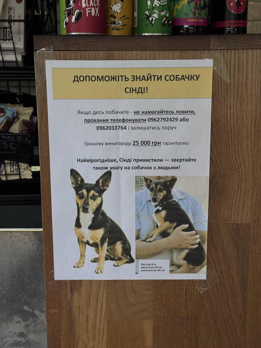 NikaMastierova's tweet photo. Дорогенькі, поширте, будь ласка 
Сінді шукають уже не 1 місяць, але власники не втрачають надію 
Придивіться, до собак, яких ви бачите поряд 
Можливо її врятували з вулиці і люди просто не знають, що малу шукають https://t.co/pamVSlNkhE