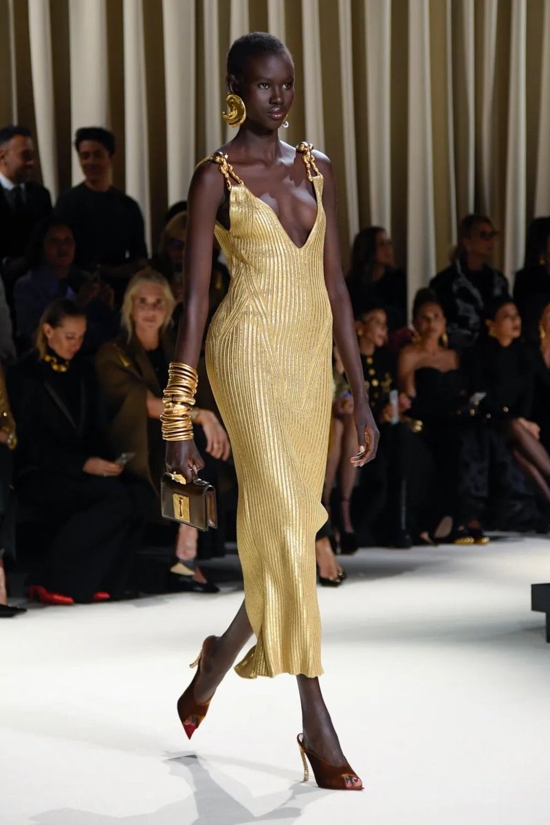 Mimiboards's tweet photo. Schiaparelli Fall/Winter 2024 Ready-to-Wear Collection ✨ https://t.co/L9YjHHctgy