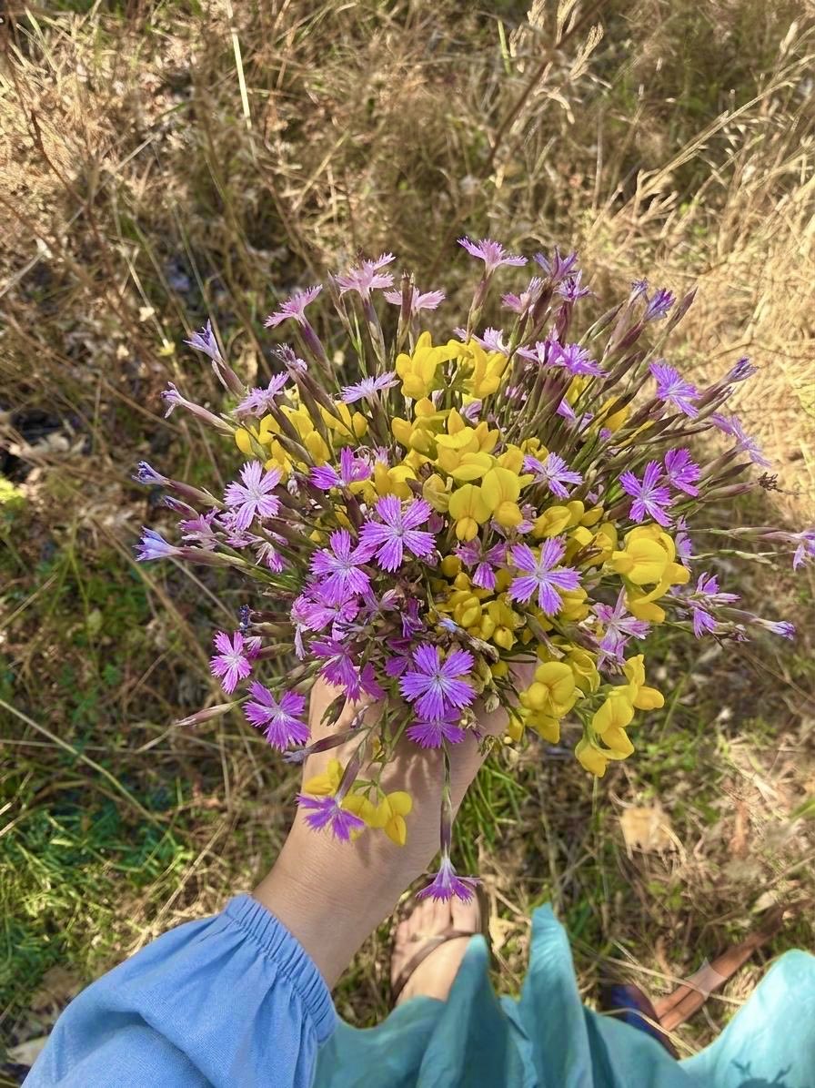 glbyz_eng's tweet photo. 🌸 https://t.co/zctU45dO8s