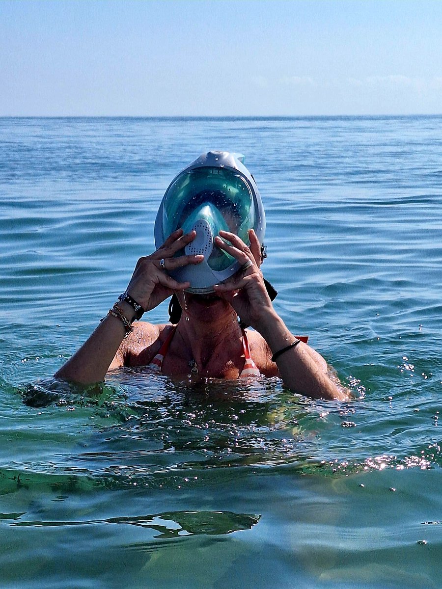 Taronja_Pat's tweet photo. Buscando tiburones o fichajes🏀... más probablementebencuentre tiburones🦈 antes.
@valenciabasket Announcement?🥺
¿Sabéis dónde no hay playa?
En Madrid 😅😂😂😂😂
#NoSeConsuelaQuienNoQuiere #PutaBida
#LaTerreta https://t.co/OKD5uAOHpp