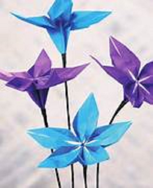 CharmelLtd's tweet photo. 'Beautiful Origami Flowers: 23 Blooms to Fold' by Anca Oprea Paperback Book
https://t.co/knObFyqMQM #eBay via @eBay_UK
#origami #papercraft #craftbook #gift #crafter #birthday #CharmelLtd #shopindie #SmallBusiness #WomeninBusiness #elevenseshour https://t.co/NNLEgbdZRU