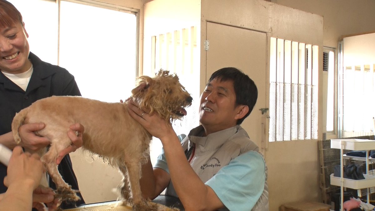 24hourTV's tweet photo. /／

#24時間テレビ49
#相葉雅紀 の「保護犬トリミング」に
#ヒロミ さん× #森本慎太郎 さんに加え
サッカー日本代表・森保一監督が初参戦！

\＼

「保護犬トリミング」は
様々な環境から保護された犬たちに
新たな飼い主(家族)が見つかるよう、
相葉さんがおよそ8年前から続けている活動🐕

この活動にはこれまで多くの著名人が賛同し
中でも #ヒロミ さんは幾度となく
相葉さんと共に活動に参加✨

#森本慎太郎 さん(#SixTONES)も
過去に一度参加し、保護犬と向き合う
相葉さんの思いに賛同してきた一人✨

そして今回、初の助っ人として加わるのが森保一監督⚽
心を込めてトリミングに挑みます。ぜひご覧ください！

🗓️8月29日(土)18時30分～8月30日(日)20時54分