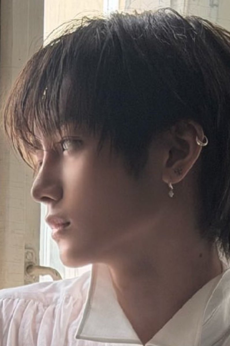 imhirayaliu's tweet photo. anxin is the prettiest cat of them all https://t.co/xq1PgXhOex