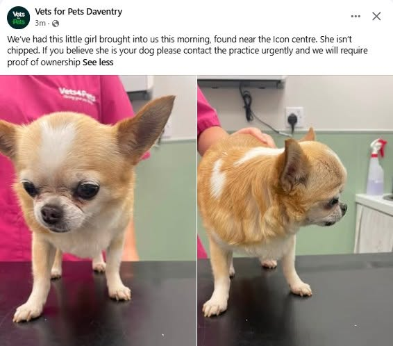 PDRescue's tweet photo. #FoundDog #Daventry
https://t.co/l9s4Z1eQzf https://t.co/uqFd4VElPR
