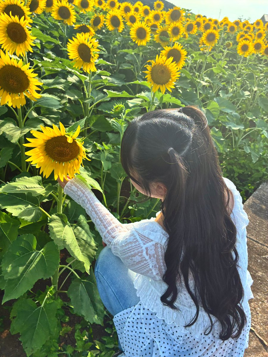 25erisa25's tweet photo. 女子高生ミスコンの3次審査がスタートしました🙌🏻🙌🏻

この投稿のリポストと引用の数が多いとセミファイナリストに選出されます❤️‍🔥

期間→8月16日21:59まで！

みなさんリポスト、引用からの応援お願いします😭🙏🏻 🎀

※モデルプレスのアカウントのフォローも忘れずに⚠️

 #女子高生ミスコン  #長崎 https://t.co/5Dr1mkMqVU