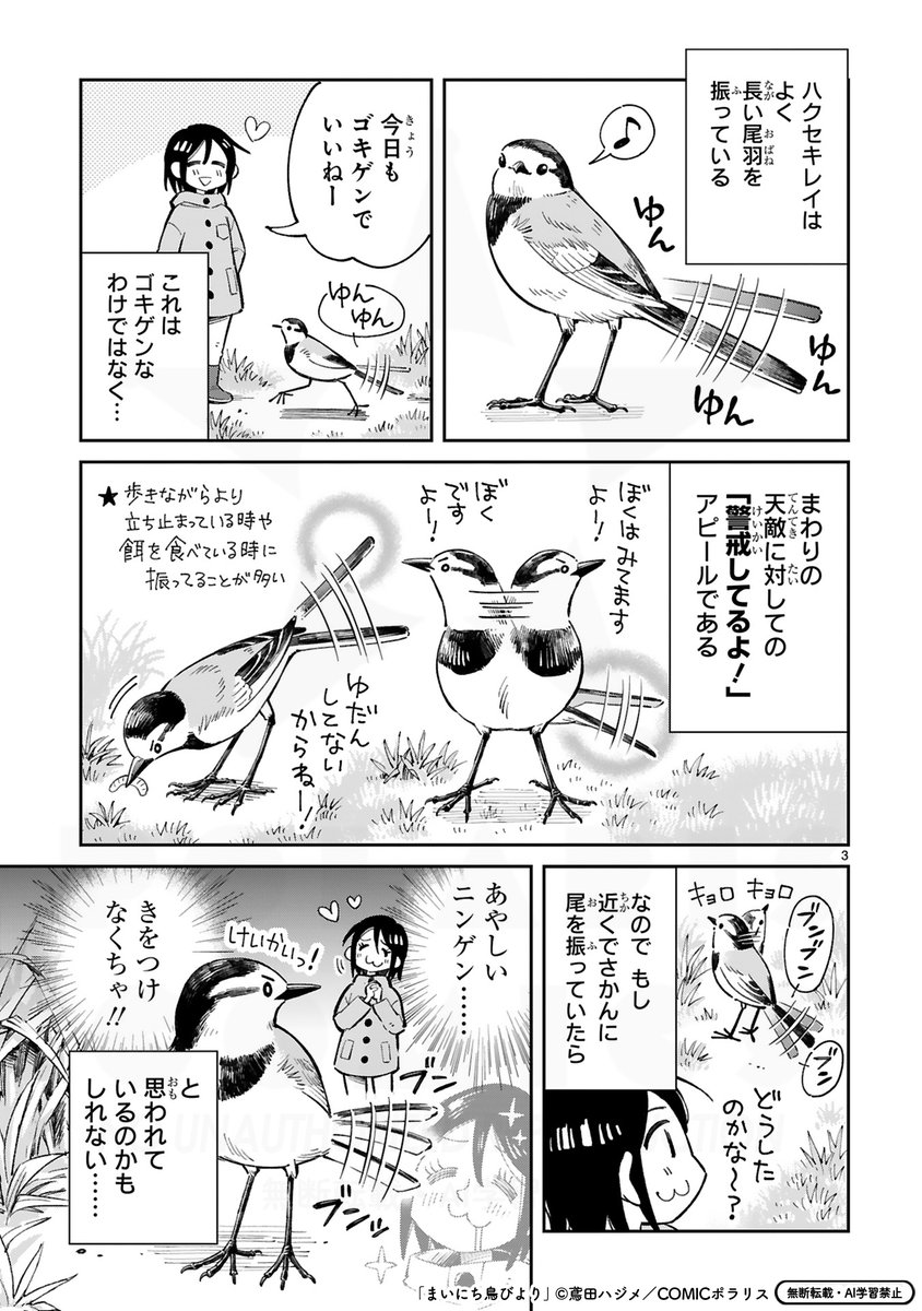 kazuholland_dr's tweet photo. 「駐車場のあの鳥」の話（1/3） https://t.co/TU4hCLmQEa