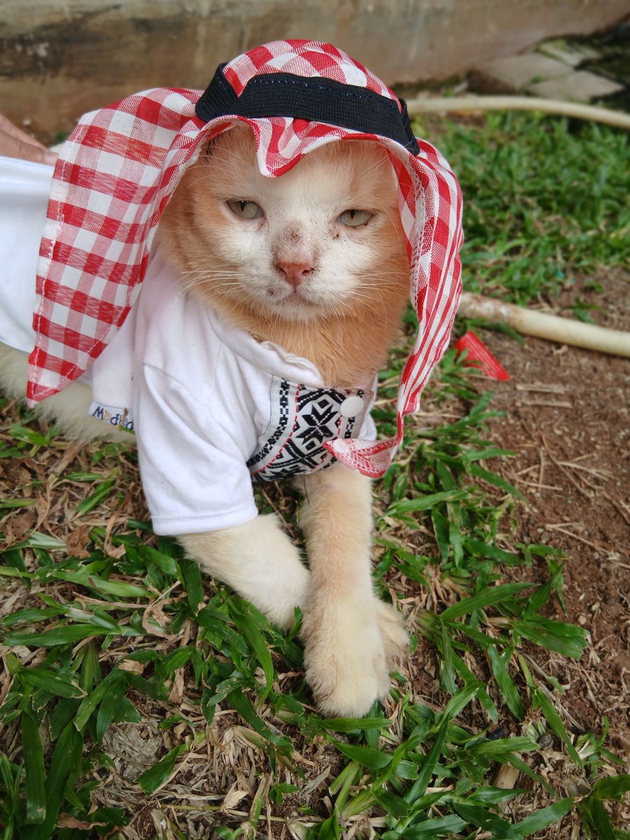 __chimichi's tweet photo. kenapa ya aku gamtenk banget? kadang bratanya tanya, emang boleh🖐✊️🖐✊️🖐✊️ segamtenk ini? emang ga masalah segamtenk ini? https://t.co/rgZvcJGLxq