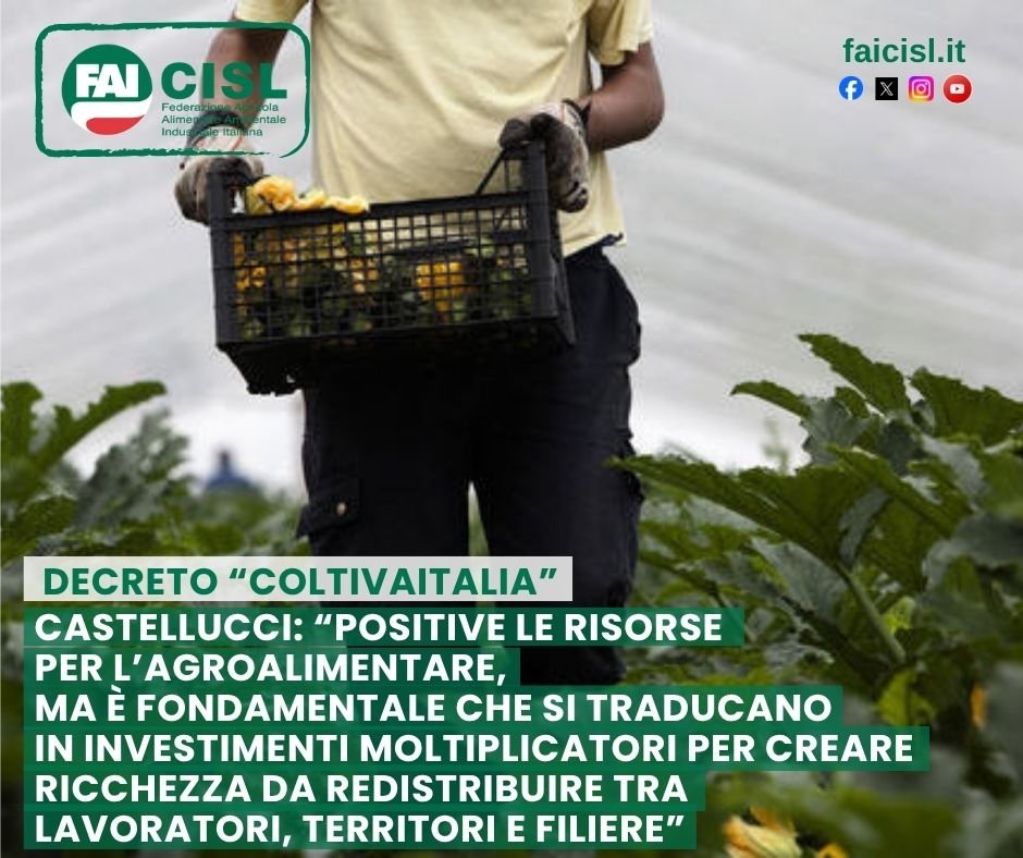 fai_cisl's tweet photo. #Coltivaitalia, Castellucci: "Positive le risorse per l’agroalimentare, ma è fondamentale che si traducano in investimenti moltiplicatori per creare ricchezza da redistribuire tra lavoratori, territori e filiere"
👇
➡️ “L’approvazione del decreto Coltivaitalia rappresenta un passaggio positivo perché dedica risorse strategiche al settore agroalimentare, tuttavia è fondamentale che l’iter parlamentare sia completato quanto prima e che i sostegni si traducano presto in investimenti moltiplicatori, capaci di creare ricchezza da redistribuire ai lavoratori, sui territori e lungo la catena del valore delle filiere”.
Così il reggente nazionale della Fai Cisl Antonio Castellucci commenta l’approvazione in prima lettura alla Camera del decreto “Coltivaitalia”, che mobilita oltre un miliardo di euro per il rafforzamento del sistema agricolo nazionale.
➡️ “Il provvedimento – aggiunge il sindacalista – era atteso dal mondo agricolo perché serve ad affrontare le criticità del settore, che sta facendo i conti con le tensioni geopolitiche, i rincari energetici, l’aumento dei costi produttivi, ma deve apportare anche una visione futura di crescita e sviluppo. Le misure vanno a favore della ricerca, dell’innovazione e dei giovani imprenditori agricoli, e puntano a rafforzare le filiere strategiche, l’olivicoltura, la cerealicoltura, l’oleo turismo e l’enoturismo e la zootecnia: sull’attenzione a questo settore, in particolare, per il quale sono previsti 300 milioni, esprimiamo un giudizio positivo, perché da tempo la Fai Cisl sta denunciando come il sistema allevatoriale stia pagando cara la riduzione di risorse degli ultimi anni, nonostante continui ad esercitare un ruolo strategico, che contiamo di rafforzare anche con il prossimo rinnovo contrattuale, per il quale abbiamo già in cantiere una piattaforma unitaria lungimirante e di valore”.
➡️ “Auspichiamo che il provvedimento rappresenti un punto di partenza, e non di arrivo, per avviare una concreta politica agroalimentare con la quale affrontare insieme anche i tanti nodi ancora irrisolti per la valorizzazione del lavoro: dobbiamo dare seguito agli impegni che riguardano il contrasto a irregolarità e caporalato, gli alloggi dei braccianti e la sicurezza nei campi, la transizione ecologica e la tutela delle risorse idriche, il ripopolamento delle aree interne, il ricambio generazionale. Tutti aspetti che dovremo essere in grado di affrontare anche nell’ambito della Pac 2028-2034”, conclude Castellucci.

🔍 https://t.co/HbosUWZBHh 

#lavoro #agroalimentare #partecipazione #sindacato #agricoltura