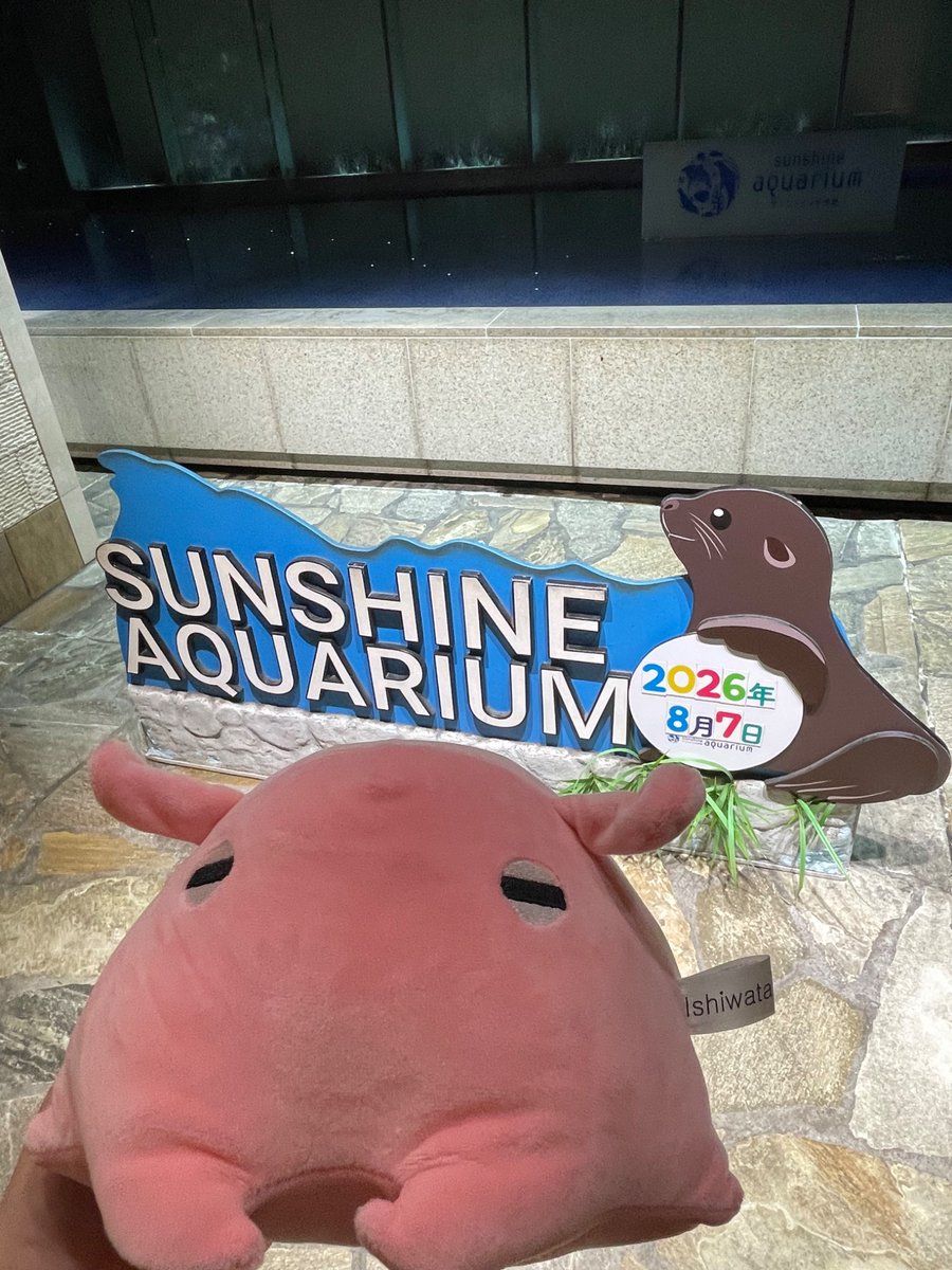 fukur0_37's tweet photo. 水族館も堪能してきた https://t.co/6lK1VHQTP8