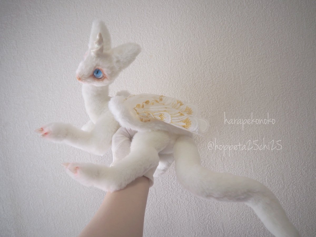 ハラペコ (@hoppeta25chi25) / X