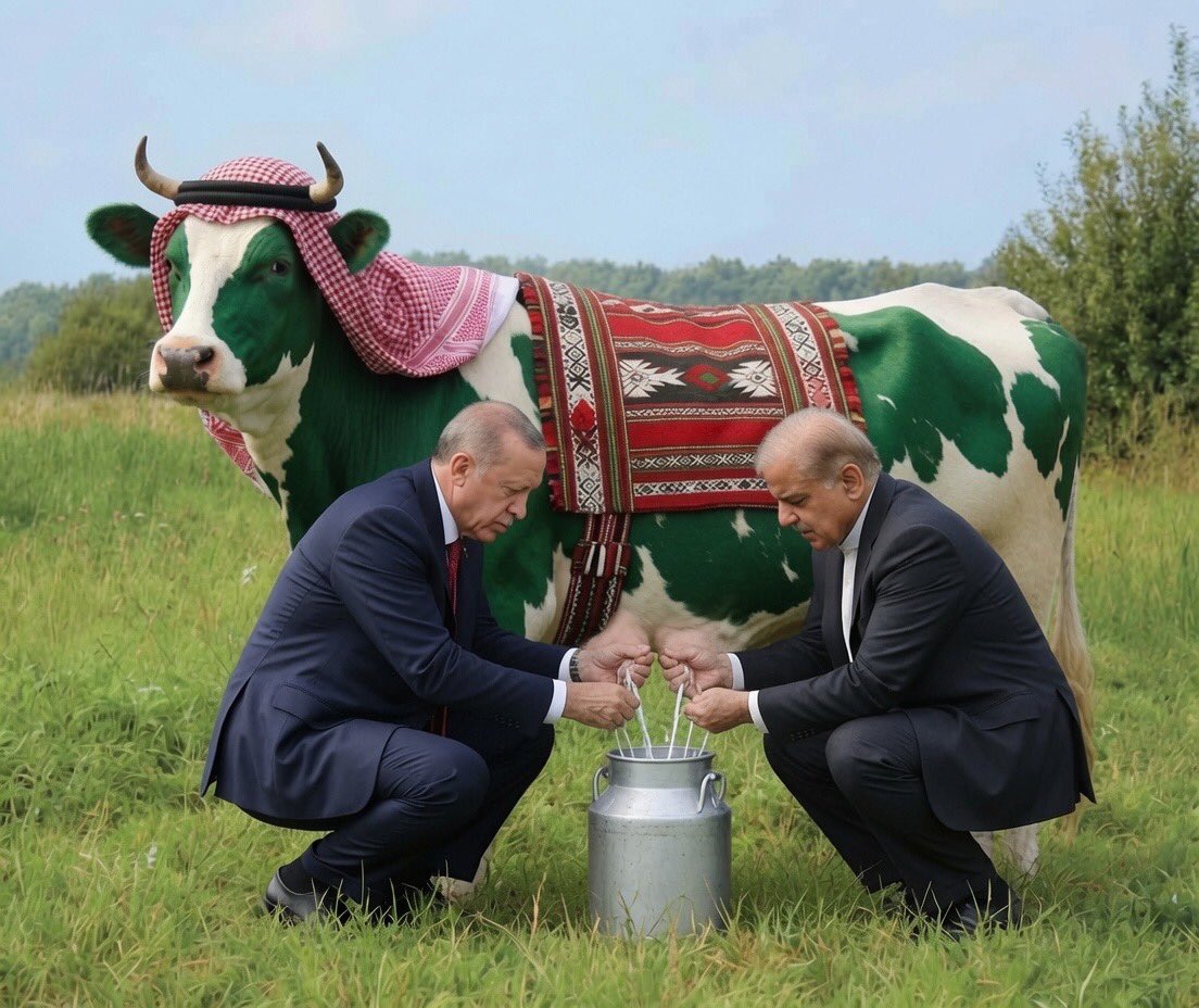 abojana_77's tweet photo. ابارك الى تركيا 🇹🇷 و باكستان 🇵🇰 دخولهم سباق الحلب للبقرة الحلوب السعودية 🇸🇦 

اتفاقية #الدفاع_المشترك https://t.co/kFlR6N3N3c