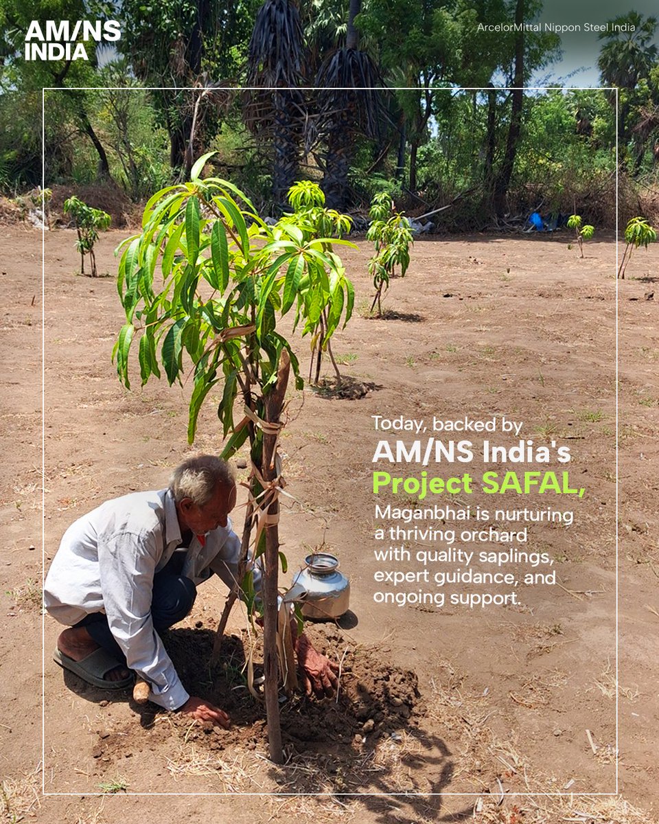 AMNSIndia's tweet photo. For Maganbhai Jivanbhai Patel, the right support opened new possibilities in farming. Through #AMNSIndia’s #ProjectSAFAL, he gained the opportunity to build a more sustainable source of income and a stronger livelihood for the years ahead.
#BMBB https://t.co/NCUhXbXDxY