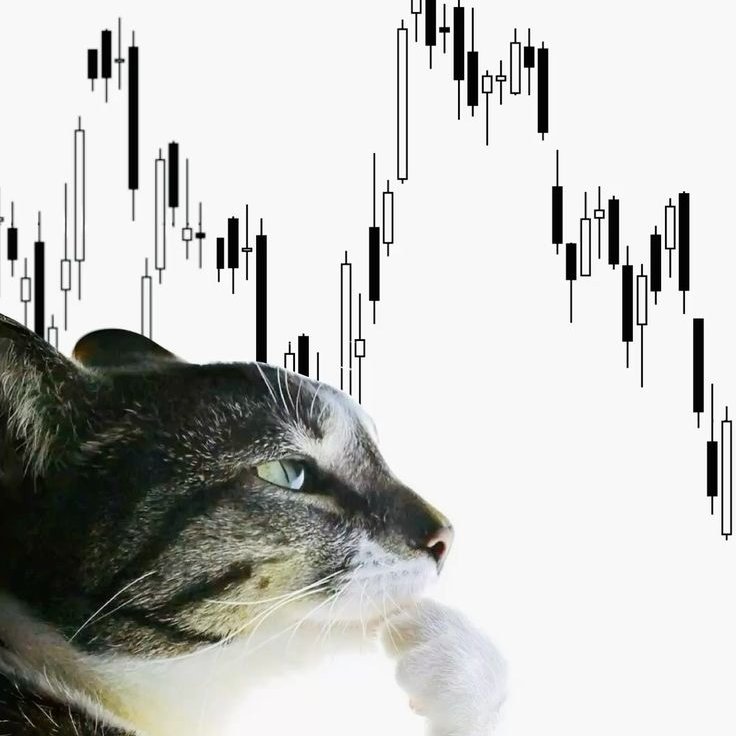 limitlesstack tweet picture