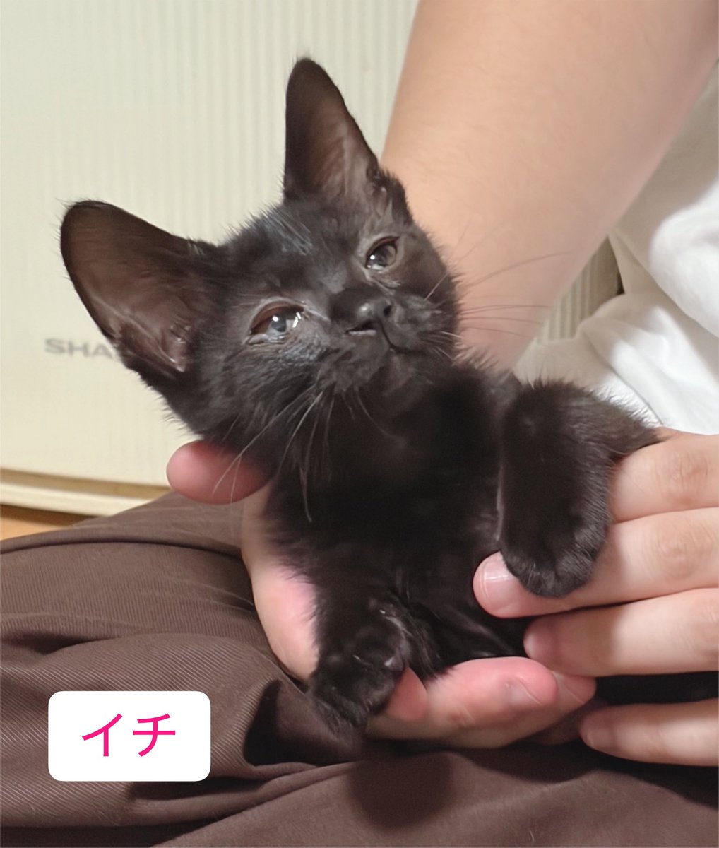 marioroom's tweet photo. @kazuyo0716yon こちらこそありがとうございます🫶✨このスープは買った事なかったのでりゅう君が食べさせてくれたのかなと😭りゅう兄ちゃんのように大きく強くなるじょ！ https://t.co/84ktb5or5a