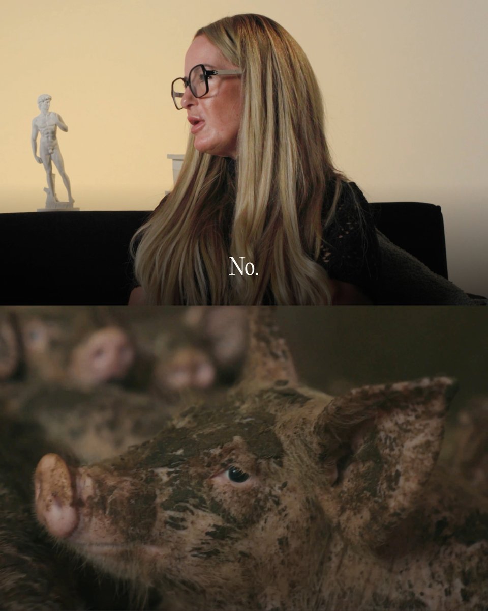 slingshot_uk_'s tweet photo. What happened when we presented 18 ordinary Brits with the reality of factory farming? Watch the full film here β https://t.co/iCQlUDjk6v
#BanCO2GasChambers #DontBuyIt #EndFactoryFarming #ProjectSlingshot https://t.co/zun1I6gEjS