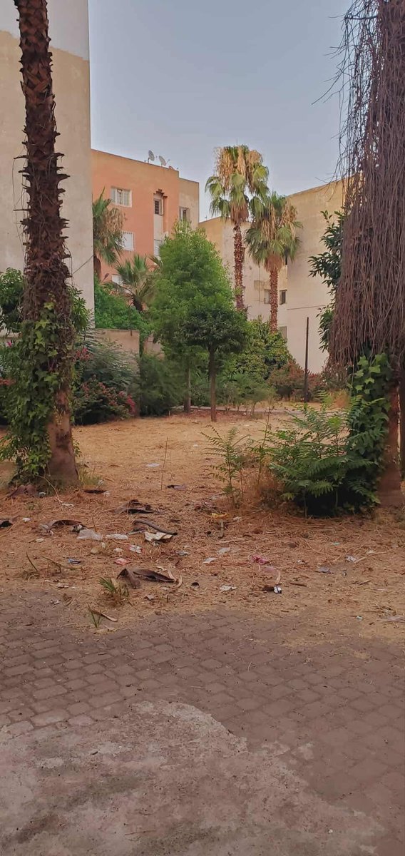 rachidowsky13's tweet photo. L'évolution du quartier Al Adarissa à Fès, où j'ai grandi, dit tout de la direction que prend le pays : tout s'est dégradé à l'exception de ce qui était autrefois un terrain vague en face de la mosquée. C'est désormais un stade de foot flambant neuf avec une pelouse bien nourrie https://t.co/FcaCFXVbXF