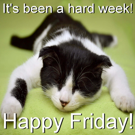 RGWritesFantasy's tweet photo. Whatever you have planned for the next couple of days:
Working
Writing 
Socialising
Or just relaxing with a good book.

Its Friday afternoon so kick back, have a great weekend, and plan your next big read 

Remembering Valhalla - coming soon

#Books #BookRecommendations #BookTwitter #Reading #Readers #BookLovers #MustRead #ReadingCommunity  #OutSoon