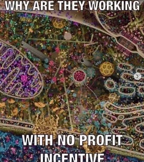 nocontextmemes's tweet photo. https://t.co/cBHP9gjoXI