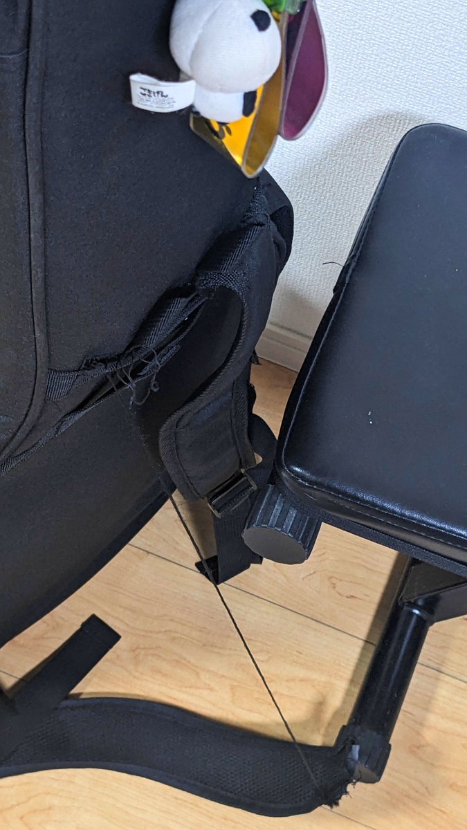 Da_zero_mga's tweet photo. オススメの��ース教えて下さい
荷物重すぎてついに逝ってしまった😭 https://t.co/jPsIu00xfU