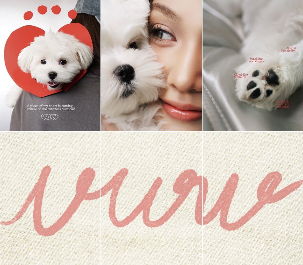 cnk_sun's tweet photo. น่ารักจังอ่าาาา 🐻‍❄️🐶

#VURVBKK #beonnnie https://t.co/4Ld6rqXX5c