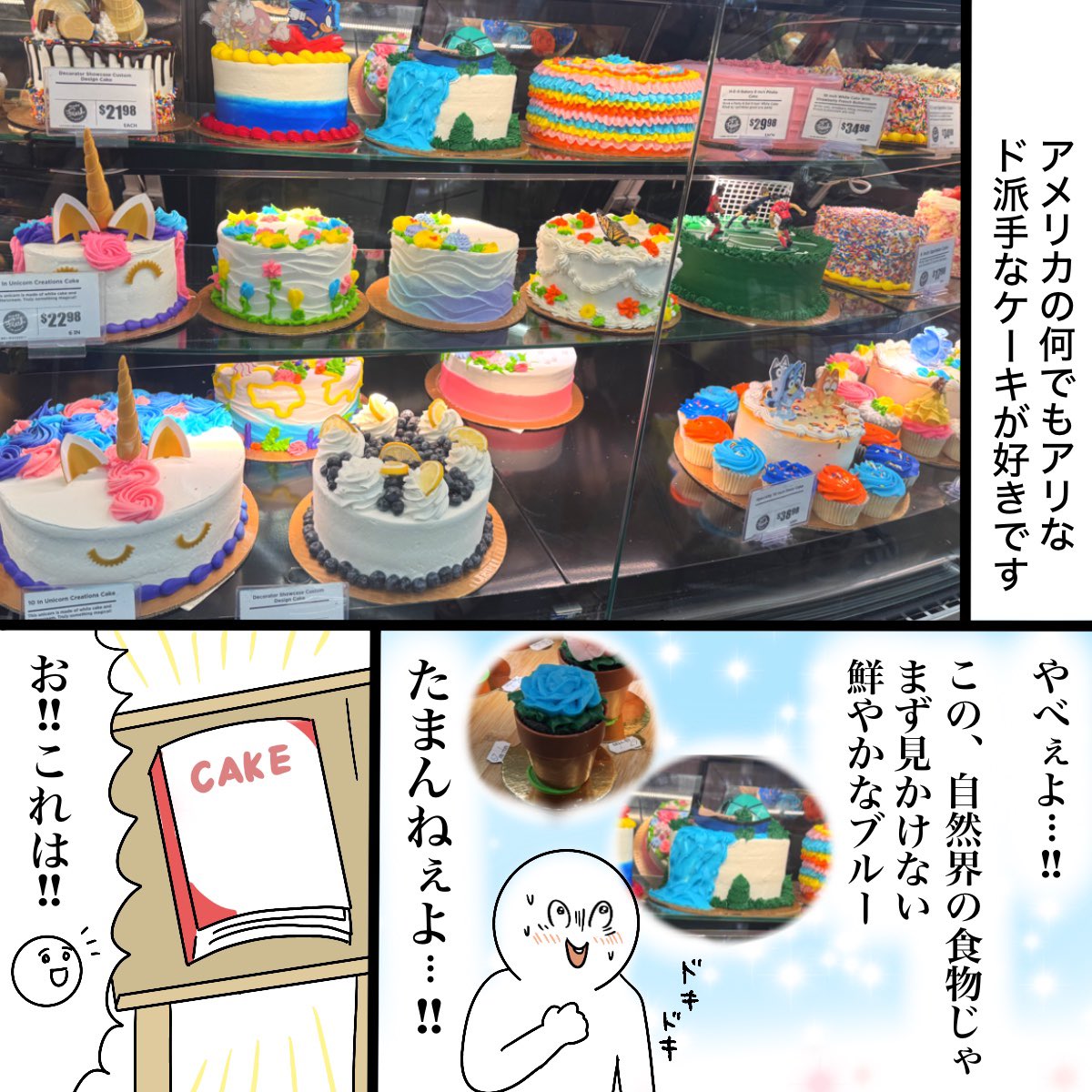 mochi_mochi_aus's tweet photo. アメリカの楽しすぎるケーキたち① https://t.co/5hwWNwIWoV