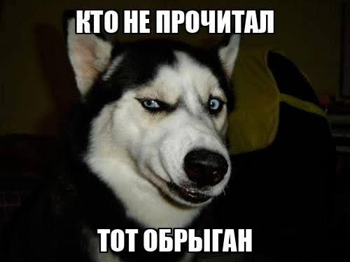 hehel_ga's tweet photo. Это зарисовка по Сайрану с Мерлином после получения вторым нового имени. Мой хэд на то, что Мерлин уже нихуя не изначальный человек, а смешение Мерлиновой божественной сущности с его изначальной душой. С сильным перекосом не в пользу человека
#Esperia #AfkJorney #Cyrmer > https://t.co/VVsB6heK0o