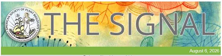  Image of The Signal email banner