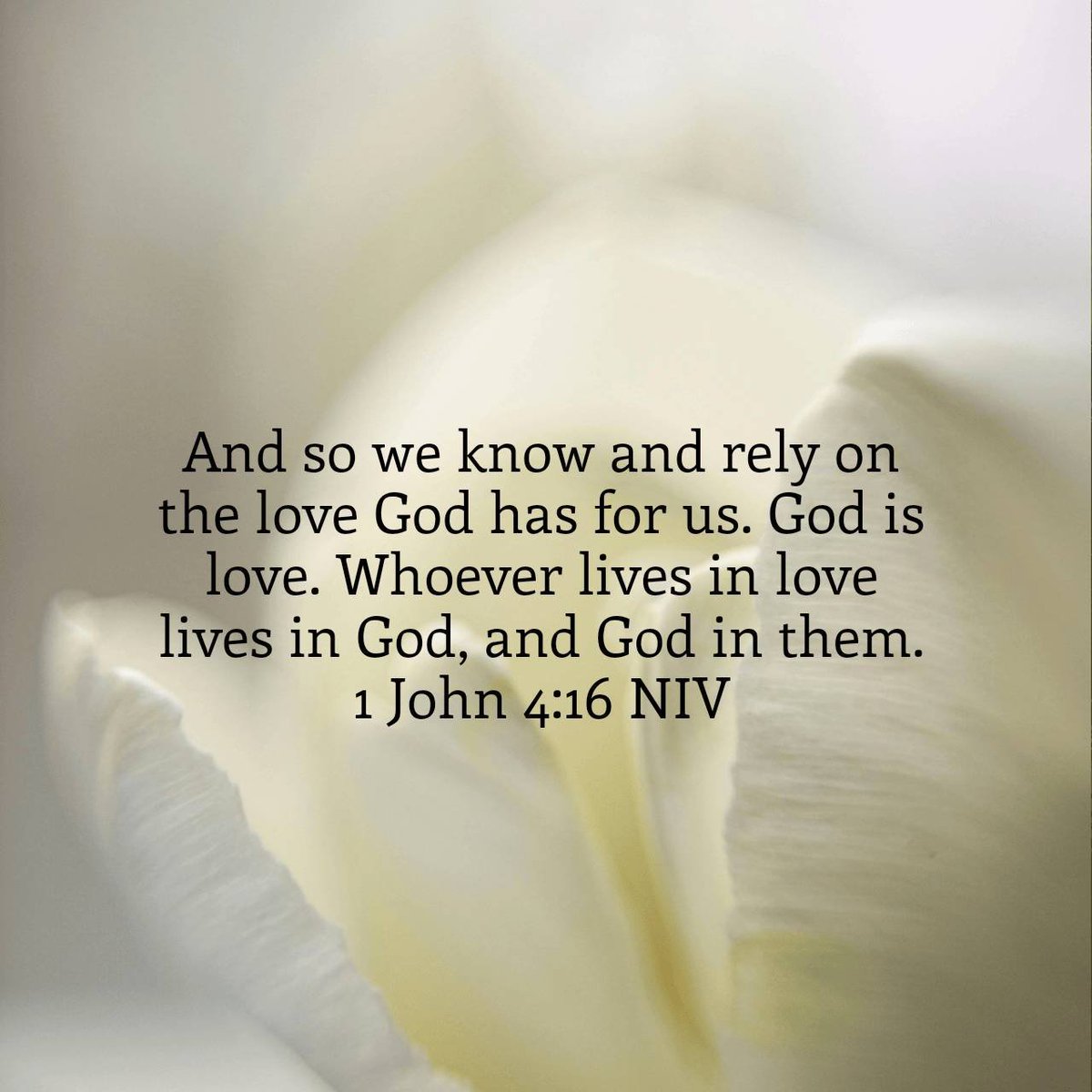 yoyomoore's tweet photo. 1 John 4:16 NIV
And so we know and rely on the love God has for us. God is love. Whoever lives in love lives in God, and God in them. 

https://t.co/dWr8ZKRfO0 https://t.co/Lr5UjcJ2VP