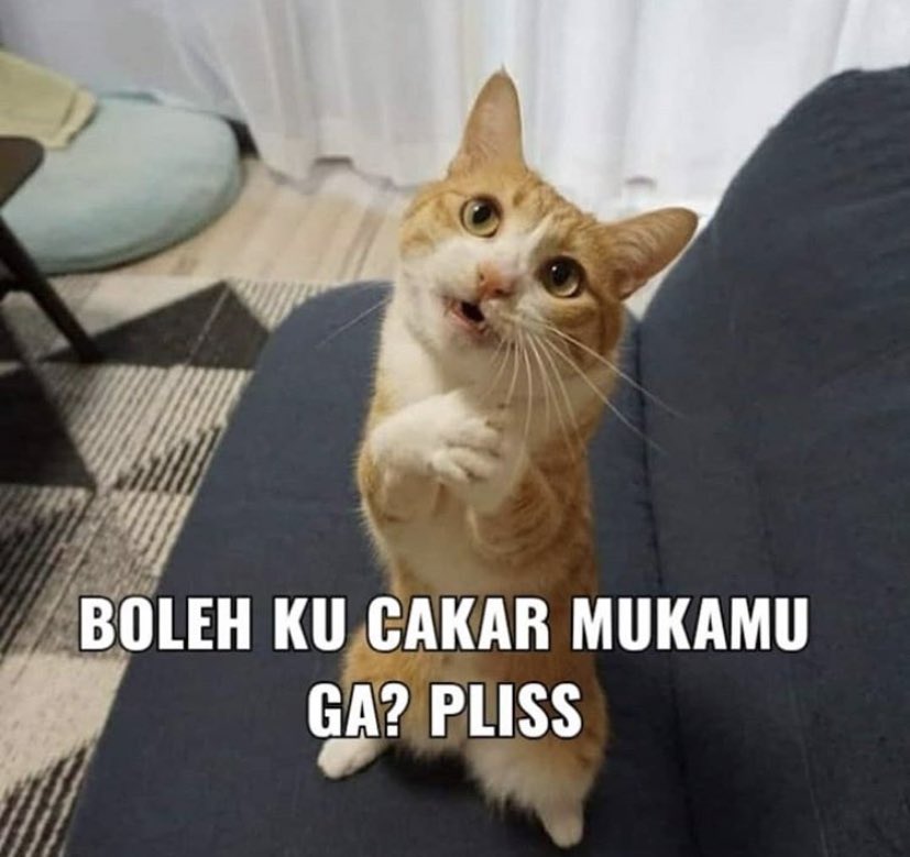 dlsaz__'s tweet photo. @qttaeby Hemm menantang ikhhh..... https://t.co/2YIAobmQ76
