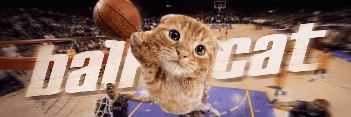 Ball Cat logo