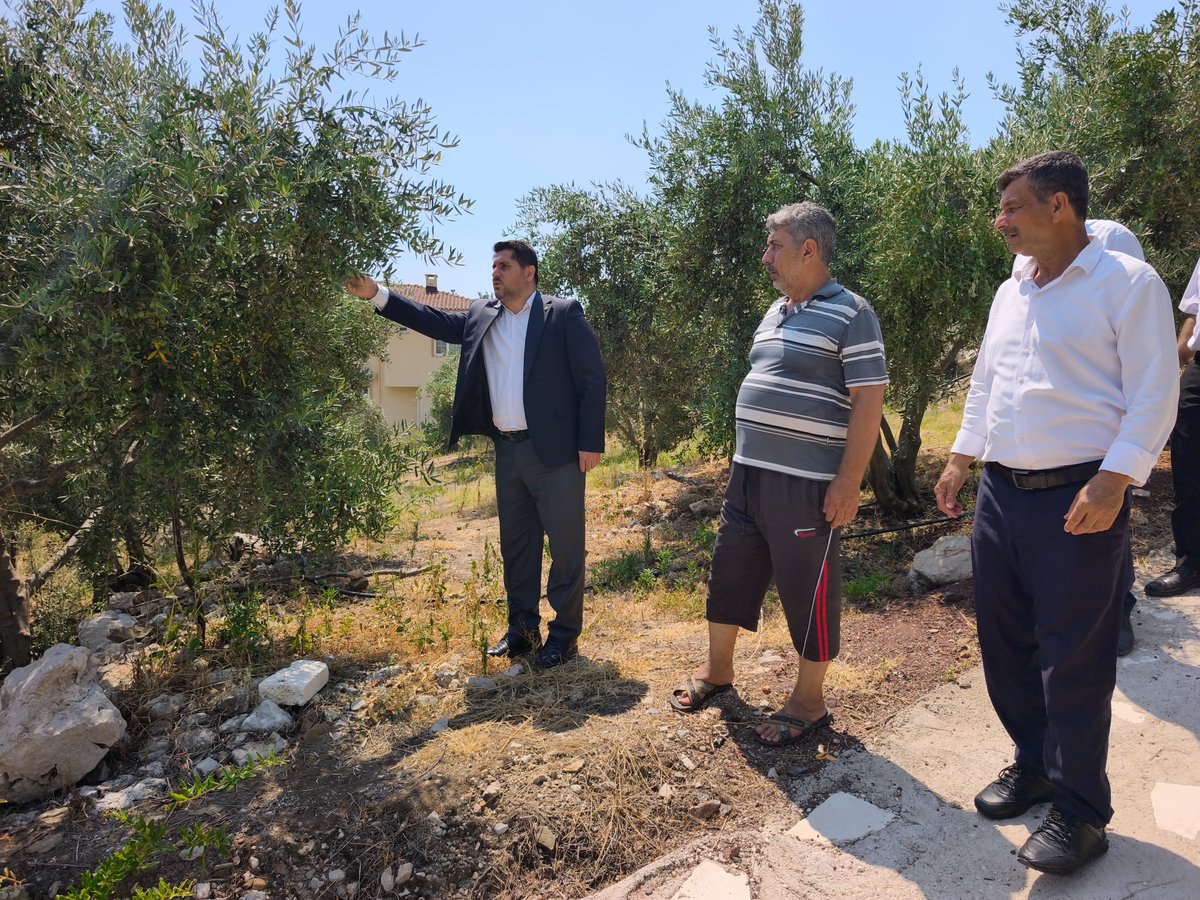 MSerifDurmaz's tweet photo. Zeytin ve nar bahçeleri olan kıymetli çiftçimizi ziyaret ederek üretim süreci hakkında bilgi aldık.

Toprağına sahip çıkan, üretimiyle geleceğe umut olan tüm çiftçilerimize bereketli ve bol kazançlı bir sezon diliyoruz. 🌿🫒🍎 https://t.co/lkpEVk43yZ