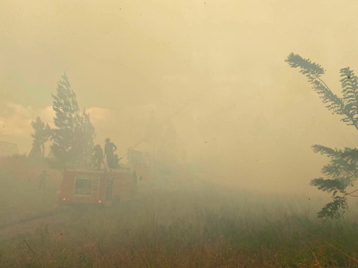indepenSumatera's tweet photo. PRAY FOR KALIMANTAN 🥀💔 https://t.co/VbdKsS8xT2