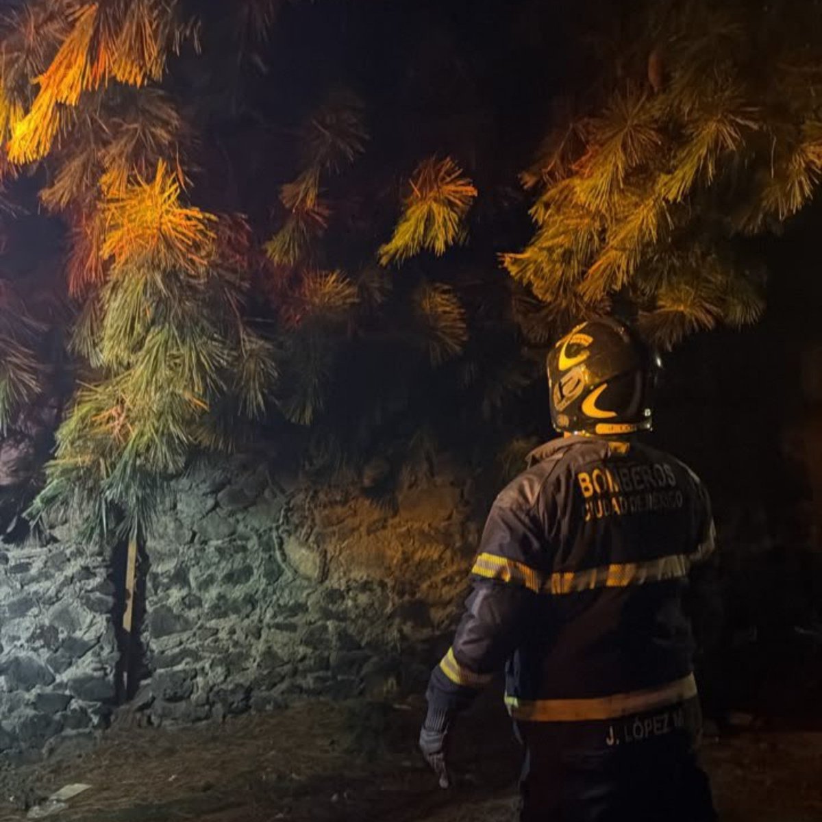 JefeVulcanoCova's tweet photo. Comparto los servicios que hemos atendido durante las últimas 24 horas, a causa de las lluvias registradas en la ciudad:

30 Árboles caídos
  6 Postes caídos
  1 Espectacular caído
  1 Encharcamiento
  7 Cortocircuitos

@ClaraBrugadaM https://t.co/rQ8AH4ykG2