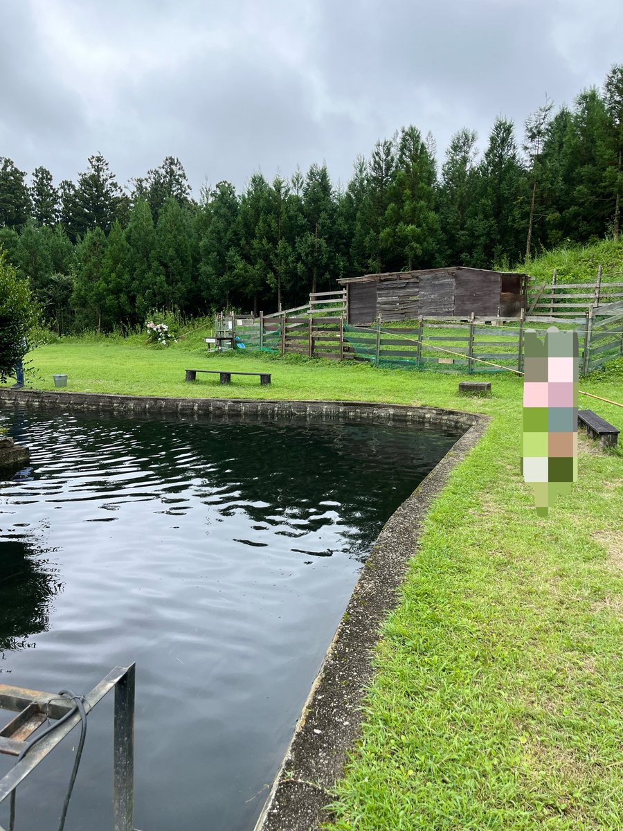 b_xpu2's tweet photo. 他いつもの博物館/益子/茂木道の駅/金精川のます池など。
ます池では初の竹竿だったけど娘は2匹釣って唐揚げにしてもらった、美味しかった😋 https://t.co/jQjkUviAh2