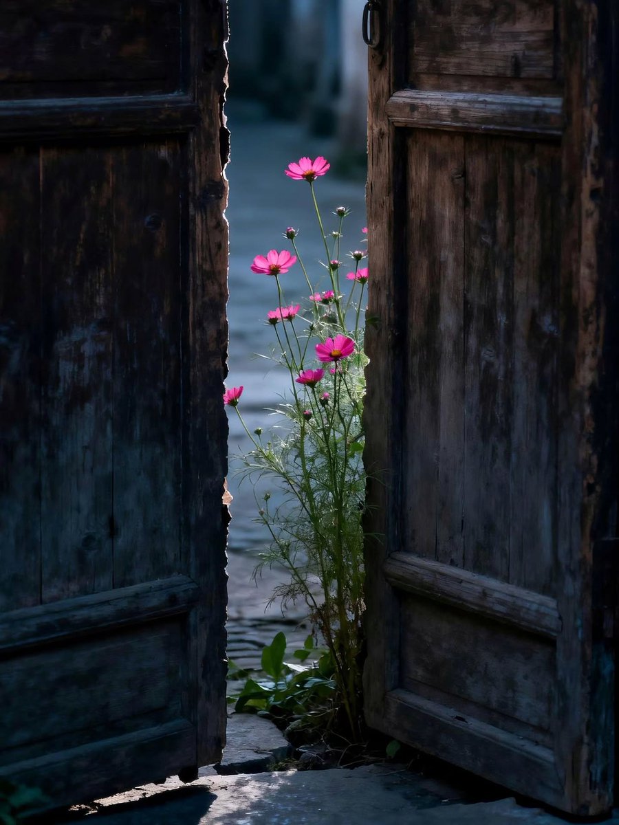 worldclick56's tweet photo. Nature always reminds us of the beauty of life 🌸 https://t.co/2oXNfesUu5