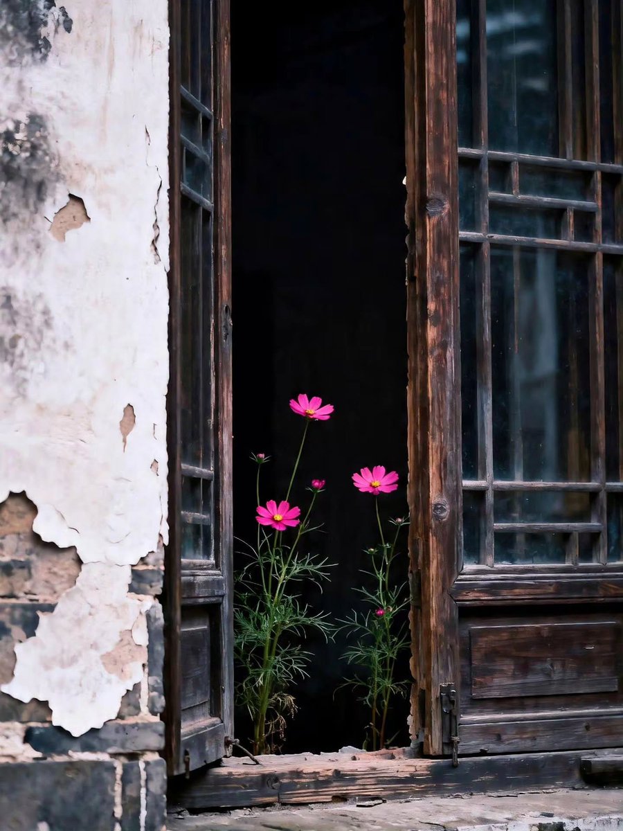worldclick56's tweet photo. Nature always reminds us of the beauty of life 🌸 https://t.co/2oXNfesUu5