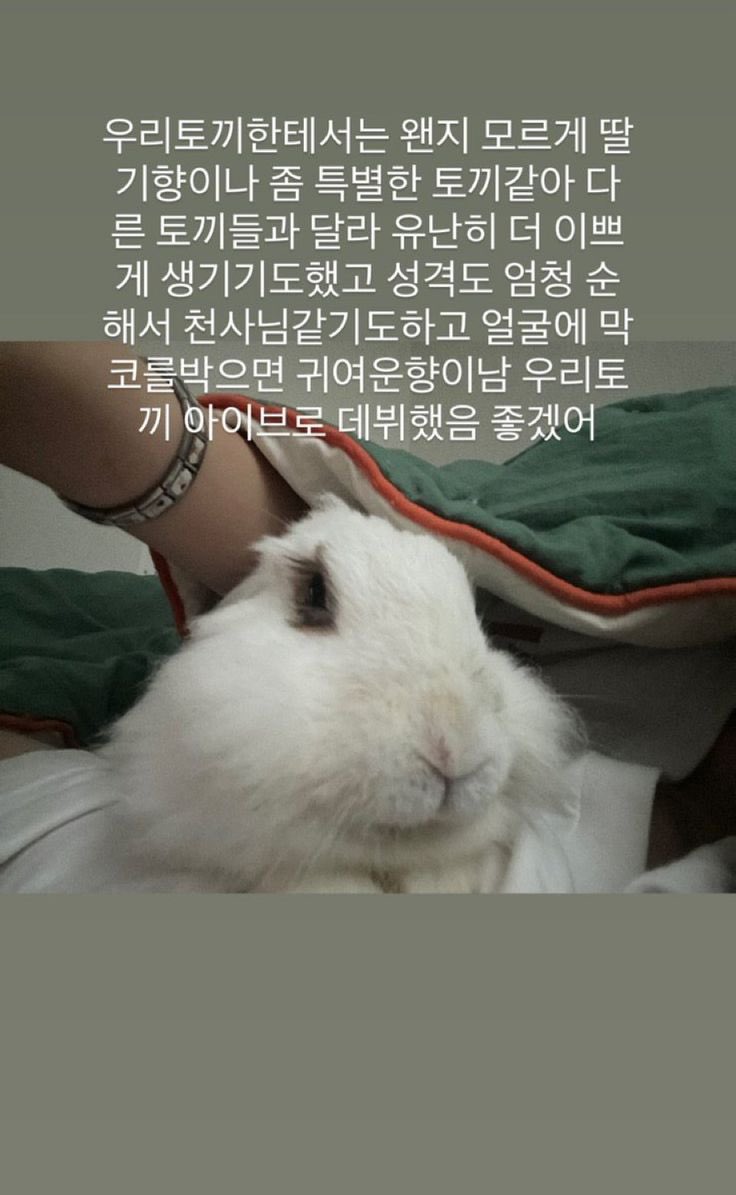 qscpxcd's tweet photo. https://t.co/MdVIIOjROw