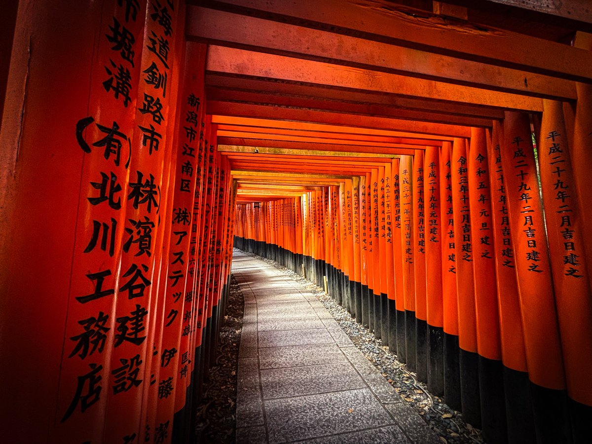 Belkrox's tweet photo. ⛩️⛩️⛩️⛩️ https://t.co/CKYmPDWo9e