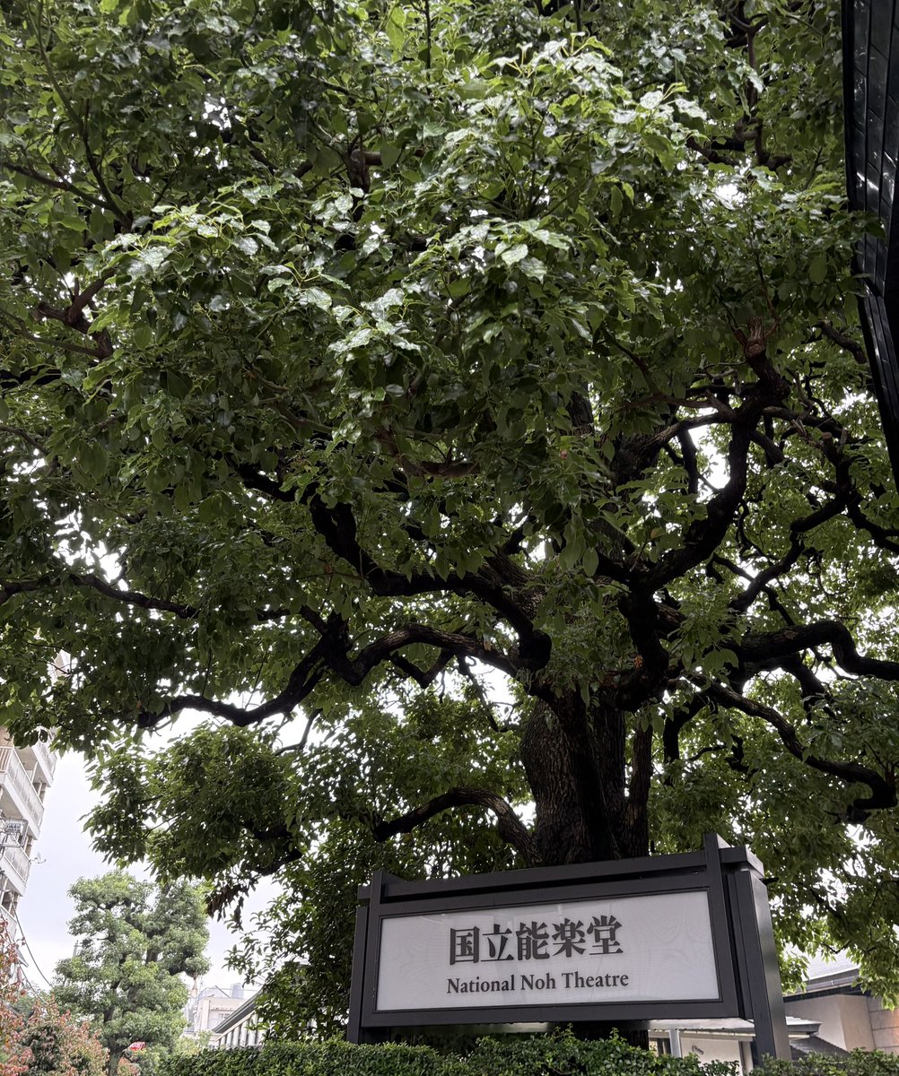 iatebrownie's tweet photo. 6/26其1
#国立能楽堂 #6月能楽鑑賞教室 #仏師 #葵上 https://t.co/JMIwuhIV8H