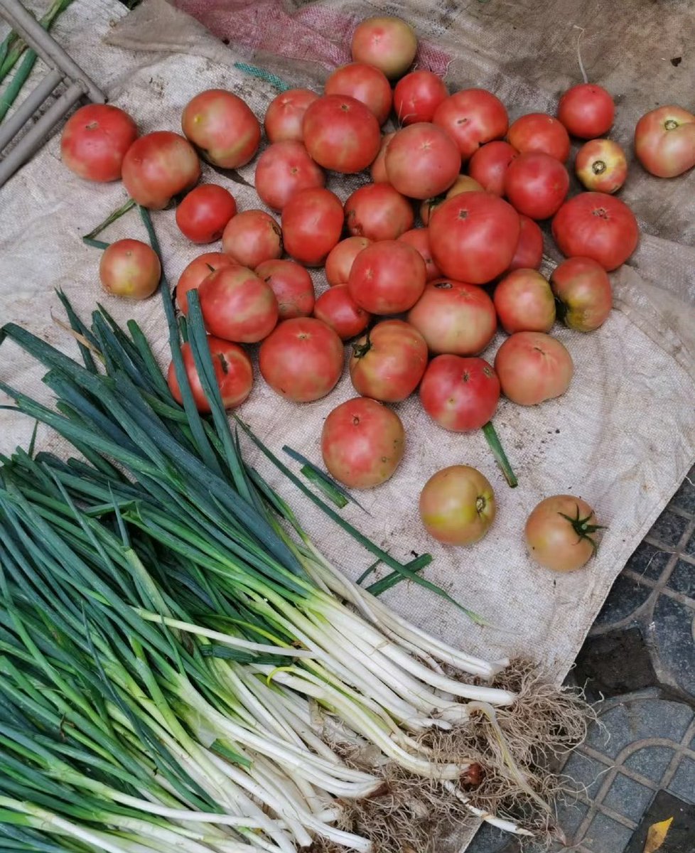 Parkchenni2's tweet photo. Fresh local veggies hit the market today! Grab crisp spinach, juicy tomatoes, and sweet corn for your weekend meals—no fancy imports, just great taste u0026 support local farms. https://t.co/N3wnKryyvK
