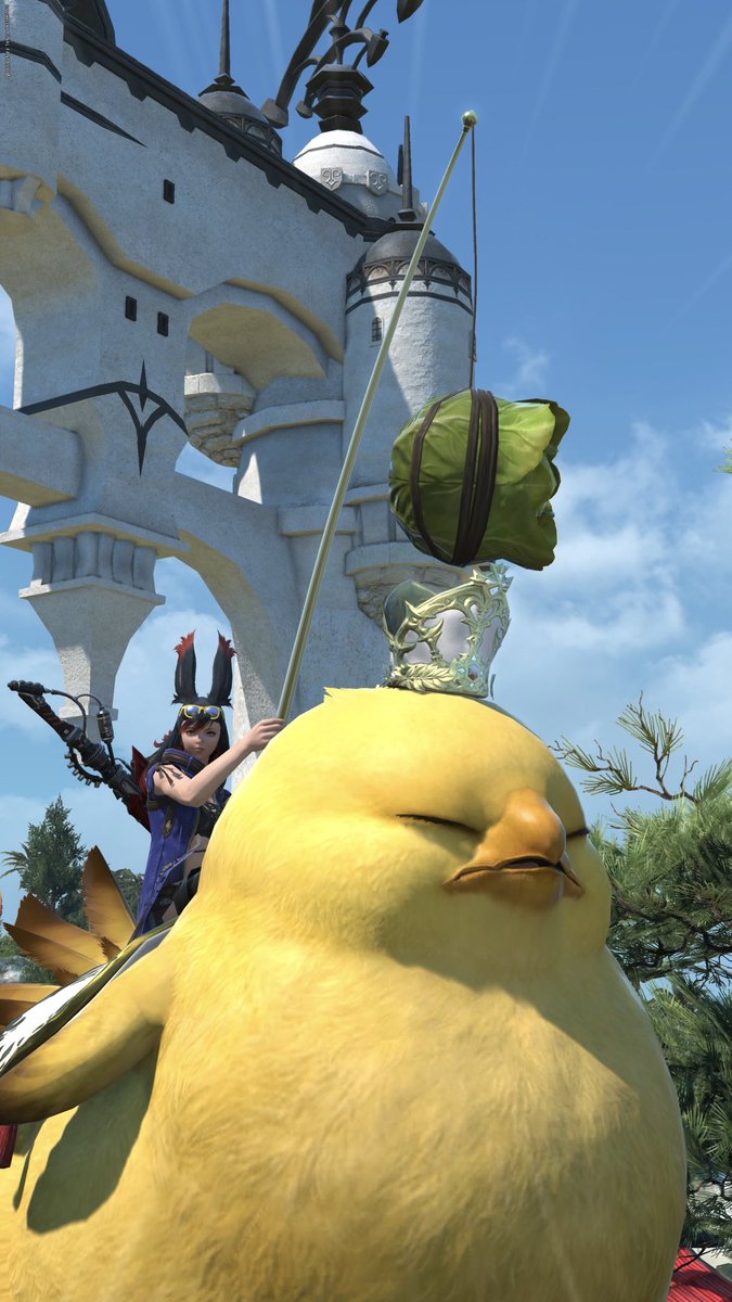 Junbo_FFXIV's tweet photo. マウントゲットー！
このドヤ顔好きww
モフモフだぁ🐥⸒⸒🐥⸒⸒
 #FF14 https://t.co/ynongrOMCz