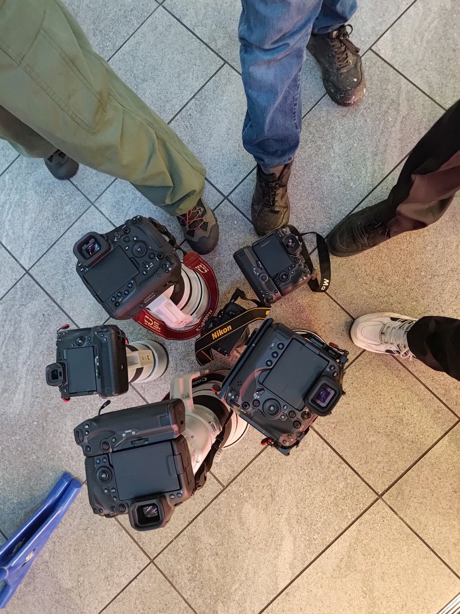 kanazy2026's tweet photo. Canonに異端審問されるNikonの図 https://t.co/6iPEX9o5dN