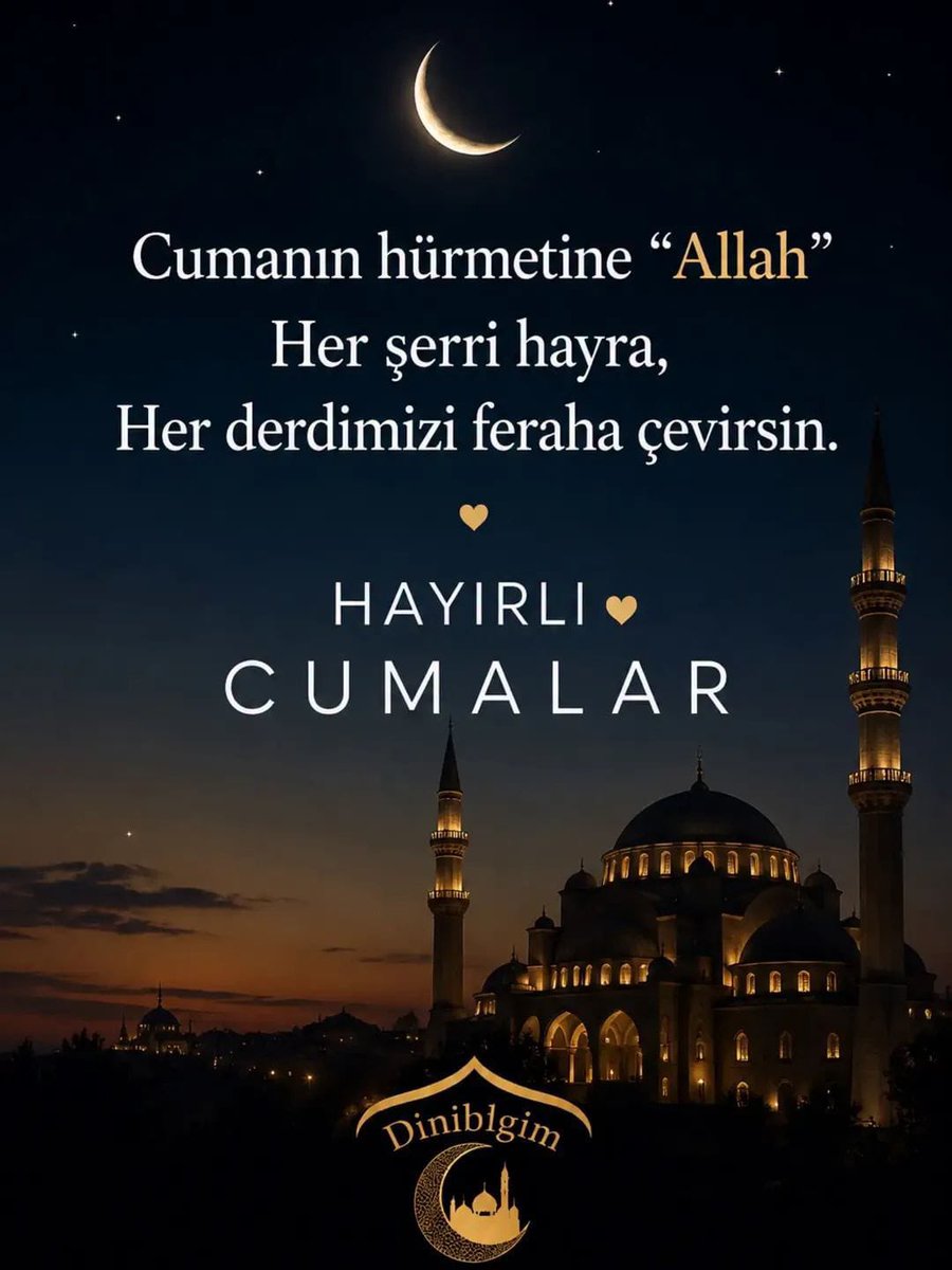 rintinyt68's tweet photo. Toprağı düşünen olduğunu sanmıyorum eğer öyle olsaydı milyonlarca zeytinlik yok edilmezdi ‼️‼️
 #YapiKayitMeclise
 https://t.co/dsReLeHrxZ