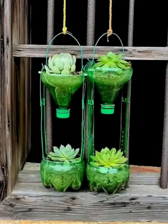 deborah61ds8's tweet photo. [Turn an old glass jar into a cute succulent planter in 5 mins—no fancy tools needed!  Upcycling made easy!]， https://t.co/W8kLQTIbP9