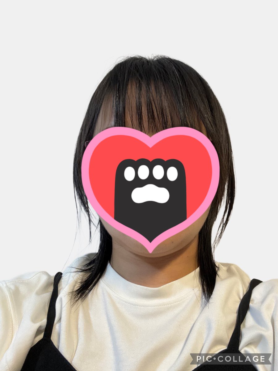 yukahapy's tweet photo. 数ヶ月前にいろんな漫画読みながら鶴丸みたいなウルフの髪型が性癖かもと気づき、私もそうなりたくて頑張って髪伸ばして今日美容室行ってきました！！
色は入れてない https://t.co/GrB5DmJIwg