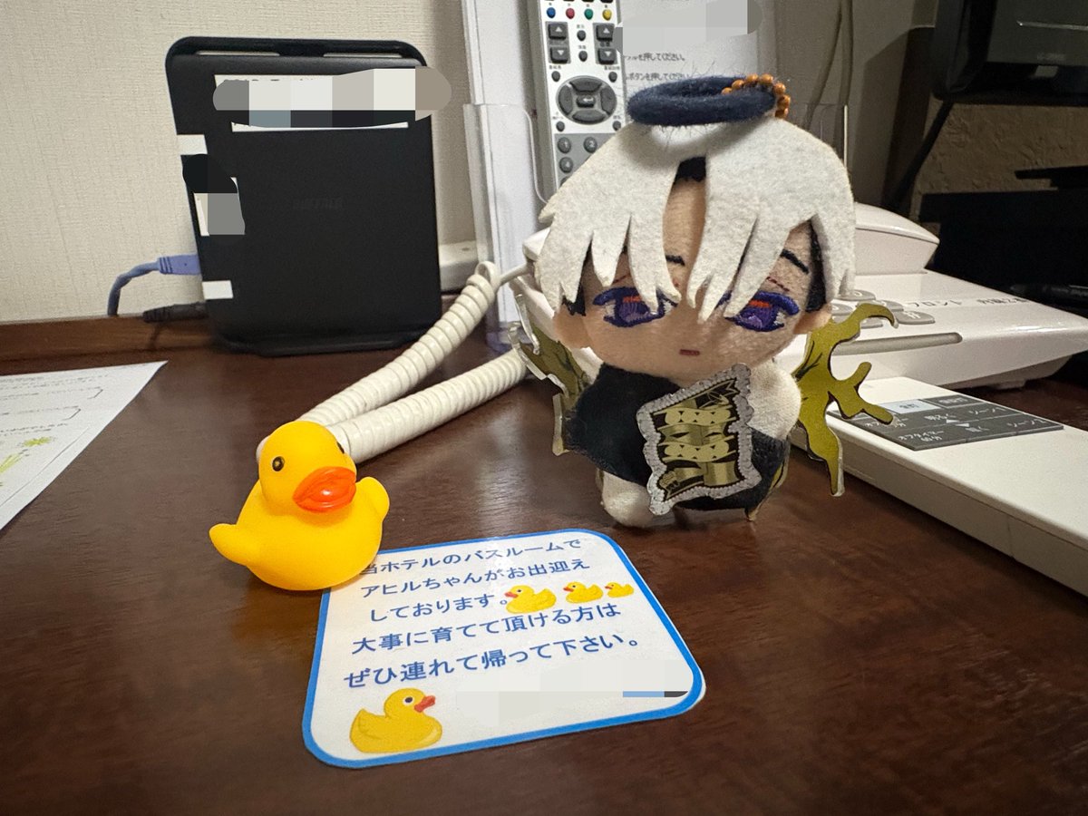 chiccha_seja's tweet photo. アヒルさん こんにちは https://t.co/Cew61oF9uB