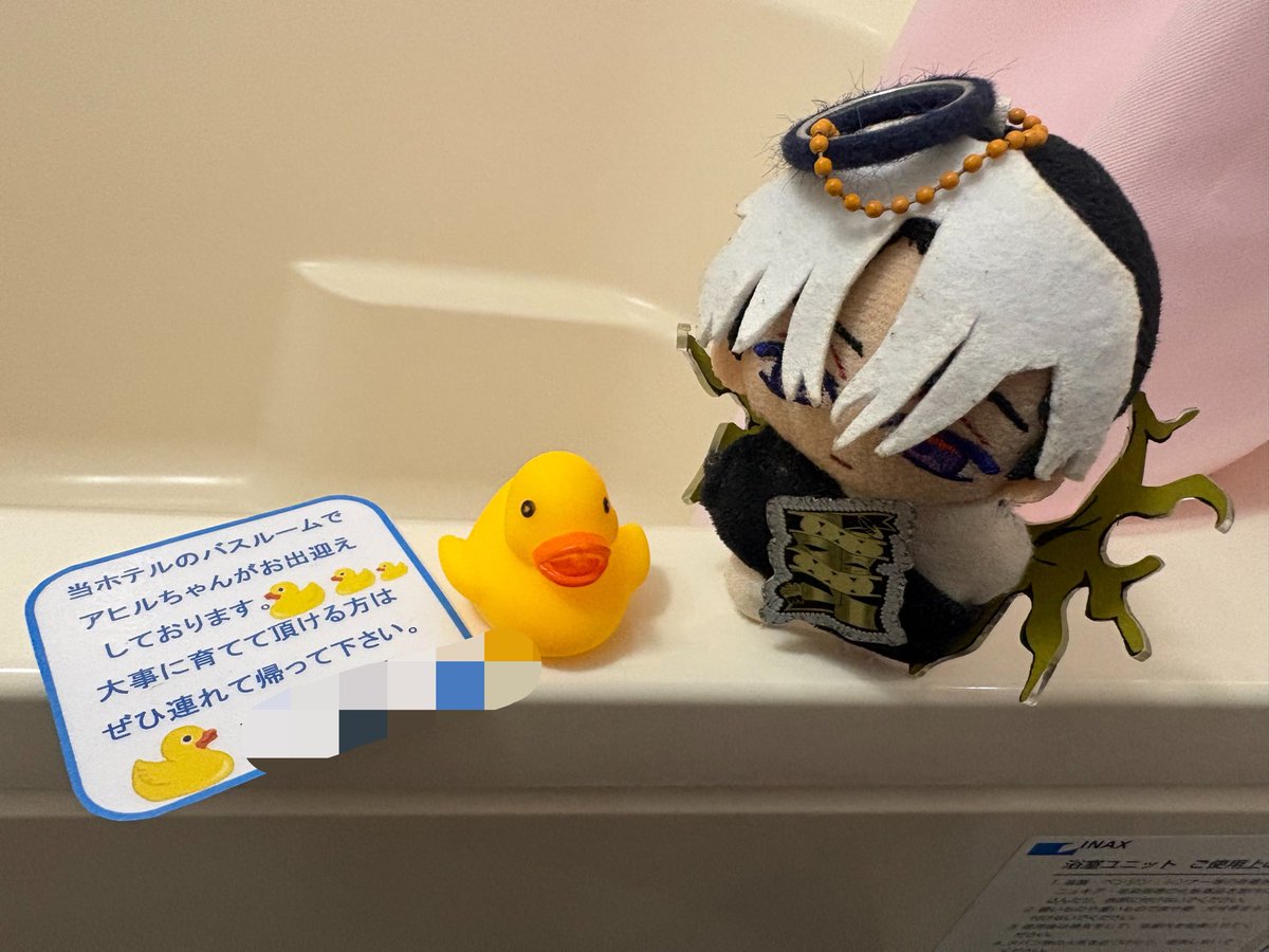 chiccha_seja's tweet photo. アヒルさん こんにちは https://t.co/Cew61oF9uB