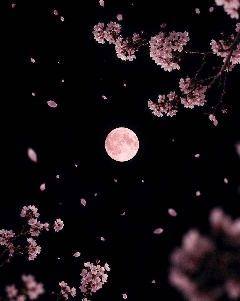 aestheticspost_'s tweet photo. https://t.co/g4S3bHiIdU