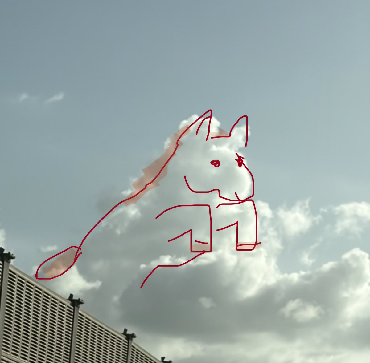 sun_ambrosia's tweet photo. ←これが
→こうに見えた https://t.co/02Tgwlb8w7